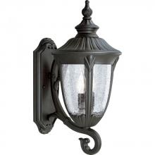 Progress P5823-31 - Meridian Collection Two-Light Large Wall Lantern