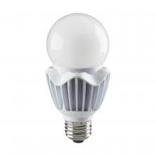 LED Bulbs