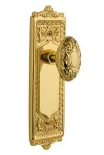 Nostalgic Warehouse 702752 - Nostalgic Warehouse Egg & Dart Plate Double Dummy Victorian Door Knob in Unlacquered Brass