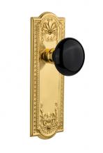 Nostalgic Warehouse 702781 - Nostalgic Warehouse Meadows Plate Double Dummy Black Porcelain Door Knob in Unlacquered Brass