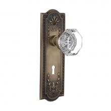 Nostalgic Warehouse 704402 - Nostalgic Warehouse Meadows Plate with Keyhole Passage Waldorf Door Knob in Antique Brass