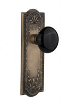 Nostalgic Warehouse 708994 - Nostalgic Warehouse Meadows Plate Passage Black Porcelain Door Knob in Antique Brass