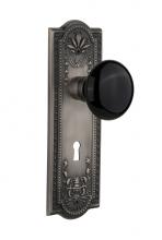 Nostalgic Warehouse 710069 - Nostalgic Warehouse Meadows Plate with Keyhole Passage Black Porcelain Door Knob in Antique Pewter