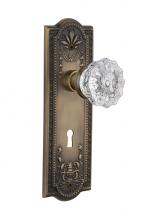 Nostalgic Warehouse 711126 - Nostalgic Warehouse Meadows Plate with Keyhole Passage Crystal Glass Door Knob in Antique Brass