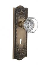 Nostalgic Warehouse 711401 - Nostalgic Warehouse Meadows Plate with Keyhole Passage Waldorf Door Knob in Antique Brass