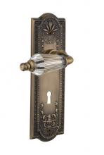 Nostalgic Warehouse 714132 - Nostalgic Warehouse Meadows Plate with Keyhole Passage Parlor Lever in Antique Brass