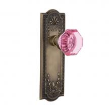 Nostalgic Warehouse 722381 - Nostalgic Warehouse Meadows Plate Single Dummy Waldorf Pink Door Knob in Antique Brass