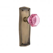 Nostalgic Warehouse 722524 - Nostalgic Warehouse Prairie Plate Single Dummy Waldorf Pink Door Knob in Antique Brass