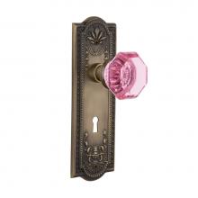 Nostalgic Warehouse 722871 - Nostalgic Warehouse Meadows Plate with Keyhole Single Dummy Waldorf Pink Door Knob in Antique Bras