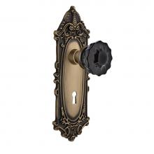 Nostalgic Warehouse 727025 - Nostalgic Warehouse Victorian Plate with Keyhole Single Dummy Crystal Black Glass Door Knob in Ant