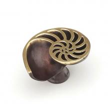 Schaub and Company 980R-PB/BZ - Nature,Sea Shell Knob,Right Hand,Dark Bronze, 1-1/2'' Dia,