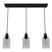 Hunter 19717 - Hunter Lochemeade Natural Black Iron with Smoked Glass 3 Light Pendant Cluster Ceiling Light Fixture