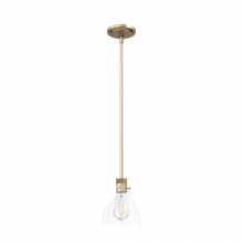 Hunter 19293 - Hunter Van Nuys Alturas Gold with Clear Glass 1 Light Pendant Ceiling Light Fixture