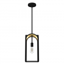 Hunter 19737 - Hunter Dukestown Natural Black Iron and Gold Leaf 1 Light Pendant Ceiling Light Fixture