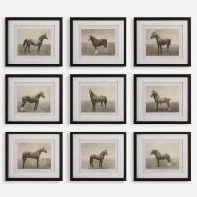 Uttermost 32343 - Equine Dynasty Framed Prints, S/9