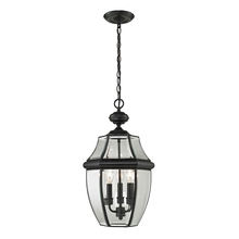 ELK Home 8603EH/60 - Thomas - Ashford 12'' Wide 3-Light Outdoor Pendant - Black